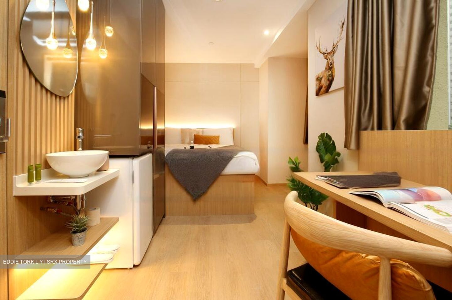 Mount Elizabeth Link (D9), Apartment #463150261